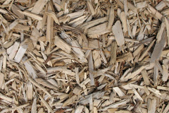 biomass boilers Lymore